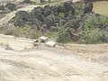 DSCN3692.JPG