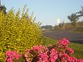 DSCN3741.JPG