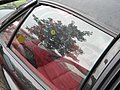 DSCN3586.JPG